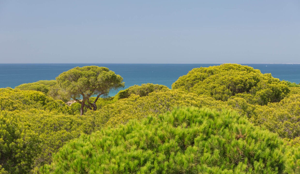 118_Villa Alvira 9