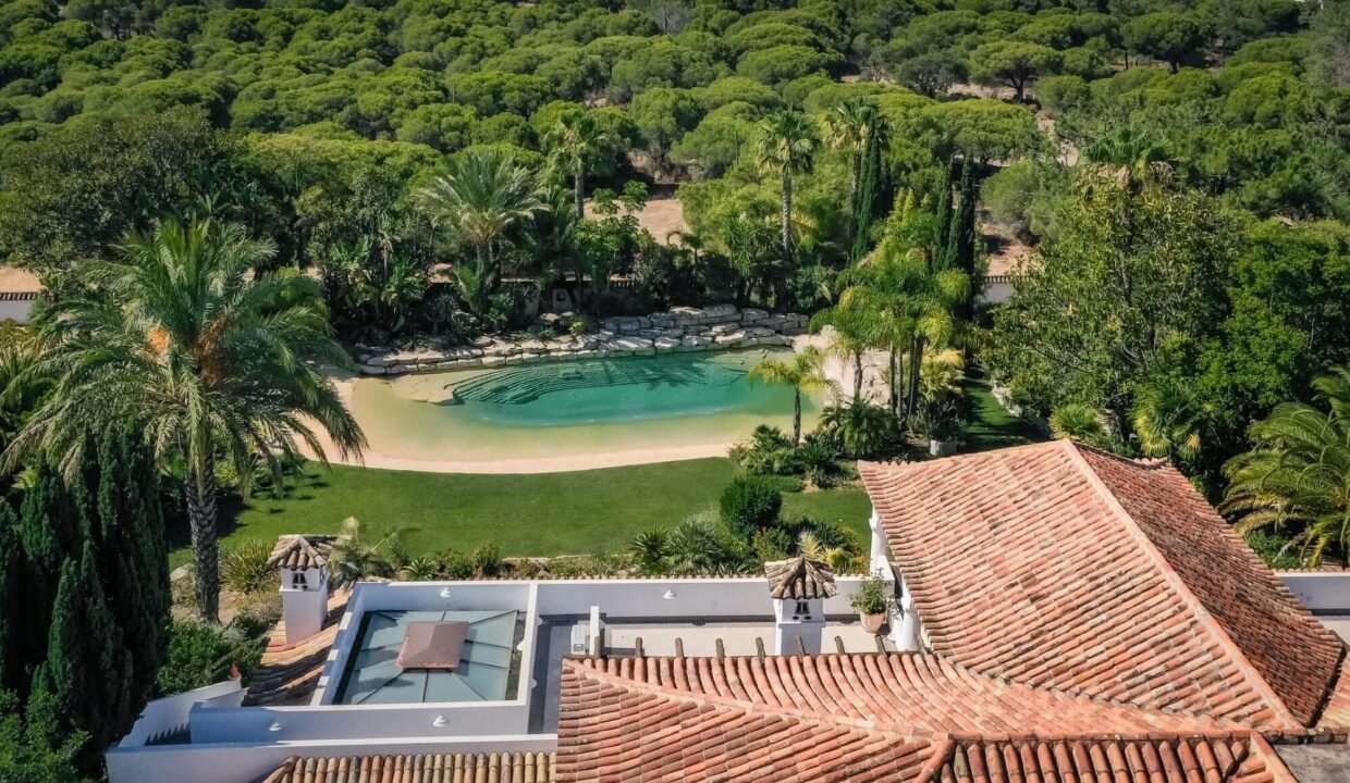 DJI_0579_optimized
